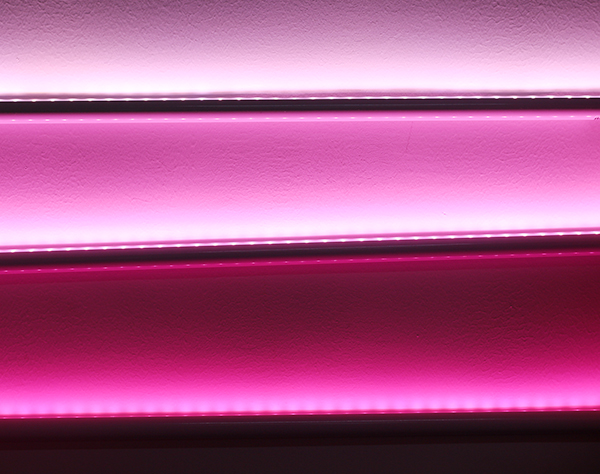 鮮肉柜專用桃紅光歐恩照明X5D 鮮肉柜專用桃紅光歐恩照明X5D