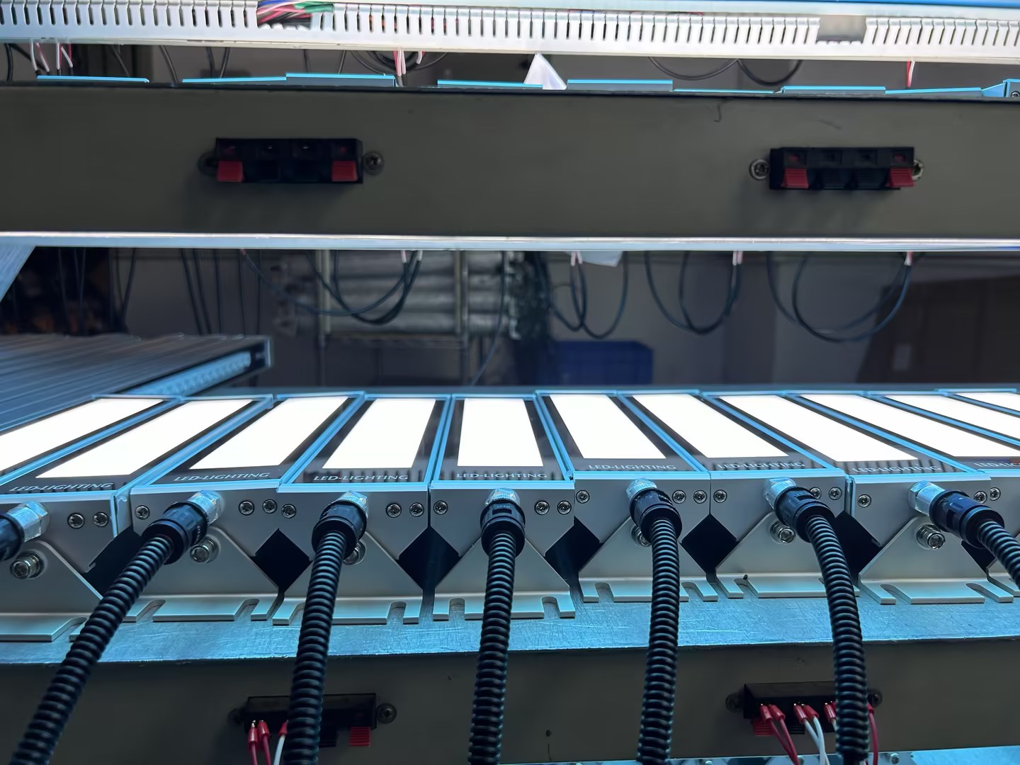 0110c46c-aa11-49bc-8d19-f383664280f4.jpg 0110c46c-aa11-49bc-8d19-f383664280f4.jpg