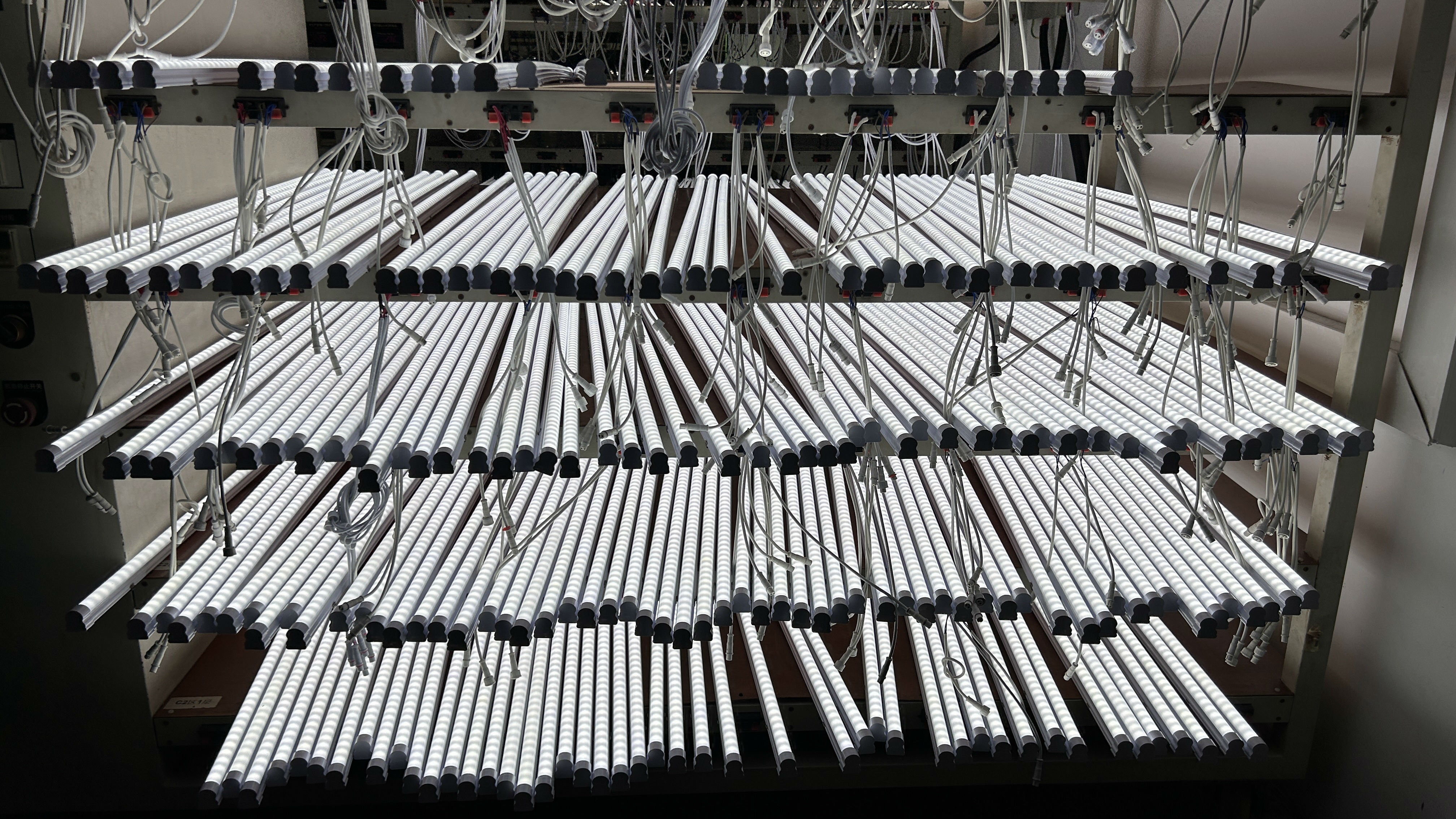 2025_02_24_17_46_IMG_6265(1).jpg 2025_02_24_17_46_IMG_6265(1).jpg